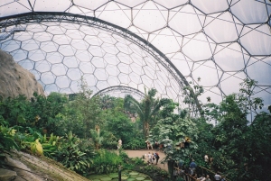 Eden_project_tropical_biome